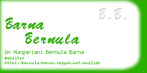 barna bernula business card